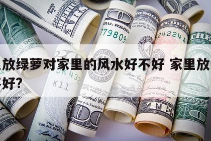 家里放绿萝对家里的风水好不好 家里放绿萝好不好?