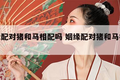 姻缘配对猪和马相配吗 姻缘配对猪和马相配吗