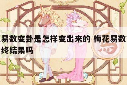 梅花易数变卦是怎样变出来的 梅花易数变卦是最终结果吗