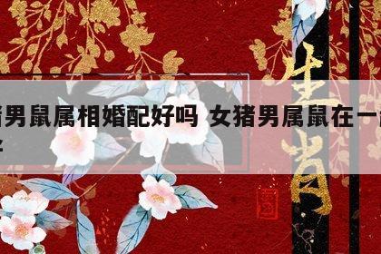 女猪男鼠属相婚配好吗 女猪男属鼠在一起好不好