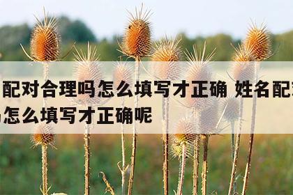 姓名配对合理吗怎么填写才正确 姓名配对合理吗怎么填写才正确呢