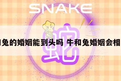 牛和兔的婚姻能到头吗 牛和兔婚姻会相克吗