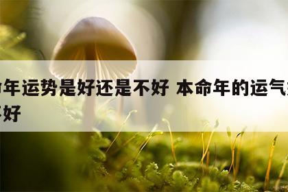 本命年运势是好还是不好 本命年的运气好还是不好