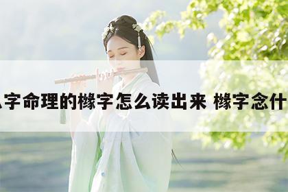 八字命理的橼字怎么读出来 橼字念什么