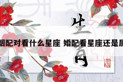 婚姻配对看什么星座 婚配看星座还是属相