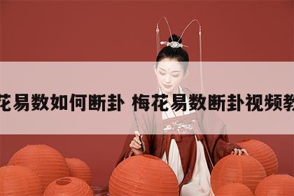 梅花易数如何断卦 梅花易数断卦视频教程