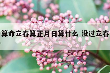 称骨算命立春算正月日算什么 没过立春怎么称骨
