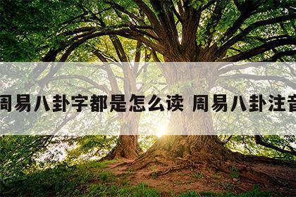 周易八卦字都是怎么读 周易八卦注音