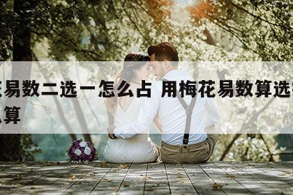 梅花易数二选一怎么占 用梅花易数算选择题怎么算