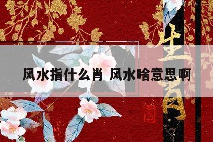 风水指什么肖 风水啥意思啊