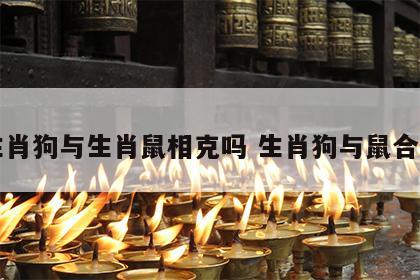生肖狗与生肖鼠相克吗 生肖狗与鼠合吗