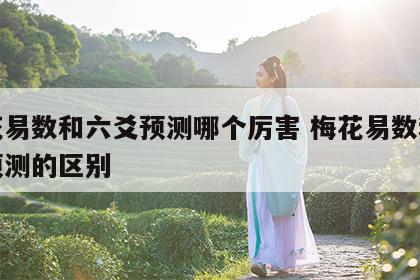 梅花易数和六爻预测哪个厉害 梅花易数和六爻预测的区别