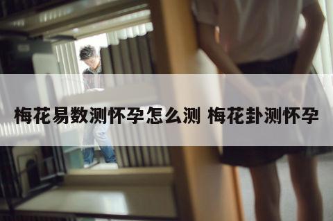 梅花易数测怀孕怎么测 梅花卦测怀孕
