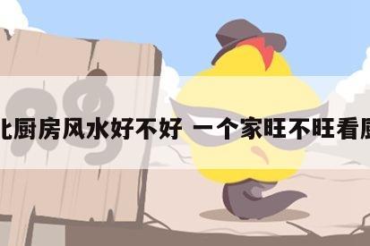 东北厨房风水好不好 一个家旺不旺看厨房