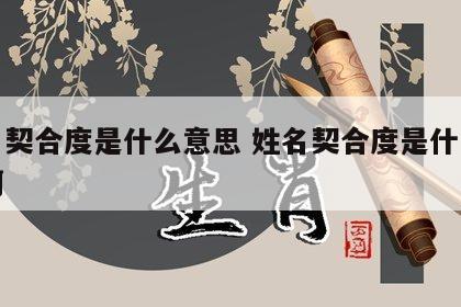 姓名契合度是什么意思 姓名契合度是什么意思啊