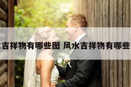 风水吉祥物有哪些图 风水吉祥物有哪些图解