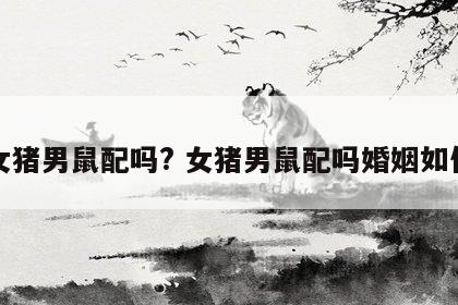 女猪男鼠配吗? 女猪男鼠配吗婚姻如何