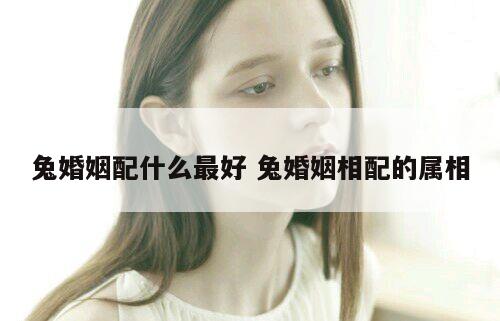 兔婚姻配什么最好 兔婚姻相配的属相