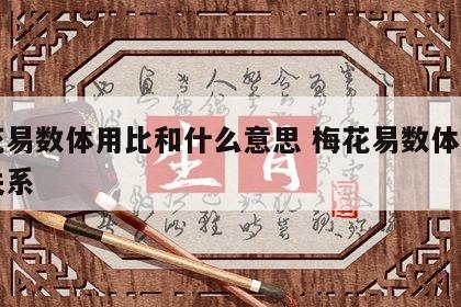 梅花易数体用比和什么意思 梅花易数体和用的关系