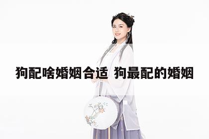 狗配啥婚姻合适 狗最配的婚姻