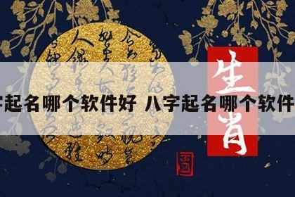八字起名哪个软件好 八字起名哪个软件好用