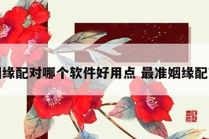 姻缘配对哪个软件好用点 最准姻缘配对