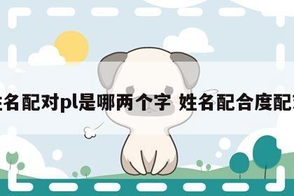 姓名配对pl是哪两个字 姓名配合度配对