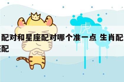 生肖配对和星座配对哪个准一点 生肖配还是星座配