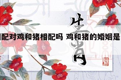 婚姻配对鸡和猪相配吗 鸡和猪的婚姻是否相配