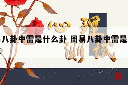 周易八卦中雷是什么卦 周易八卦中雷是什么卦位