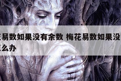 梅花易数如果没有余数 梅花易数如果没有余数怎么办