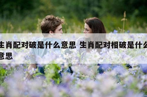 生肖配对破是什么意思 生肖配对相破是什么意思