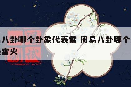 周易八卦哪个卦象代表雷 周易八卦哪个卦象代表雷火