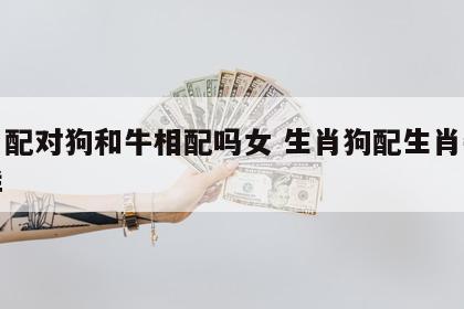 生肖配对狗和牛相配吗女 生肖狗配生肖牛怎么样