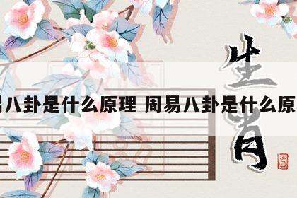 周易八卦是什么原理 周易八卦是什么原理的