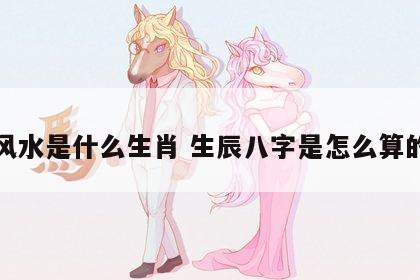风水是什么生肖 生辰八字是怎么算的