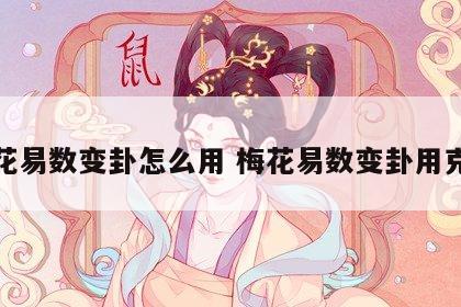 梅花易数变卦怎么用 梅花易数变卦用克体