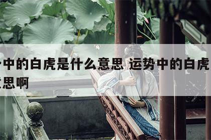 运势中的白虎是什么意思 运势中的白虎是什么意思啊