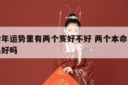 本命年运势里有两个亥好不好 两个本命年在一起好吗