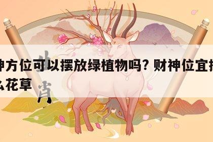 财神方位可以摆放绿植物吗? 财神位宜摆放什么花草