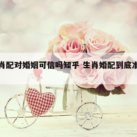 生肖配对婚姻可信吗知乎 生肖婚配到底准不准