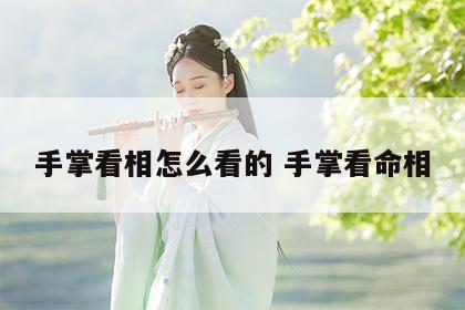 手掌看相怎么看的 手掌看命相