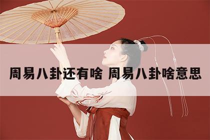 周易八卦还有啥 周易八卦啥意思
