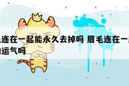 眉毛连在一起能永久去掉吗 眉毛连在一起会影响运气吗