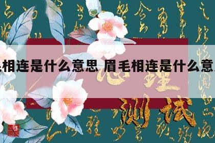 眉毛相连是什么意思 眉毛相连是什么意思女生