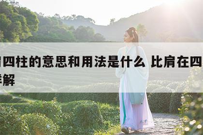 比肩四柱的意思和用法是什么 比肩在四柱干支详解