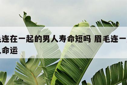 眉毛连在一起的男人寿命短吗 眉毛连一起的男人命运