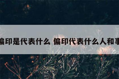 偏印是代表什么 偏印代表什么人和事