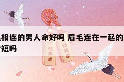 眉毛相连的男人命好吗 眉毛连在一起的男人寿命短吗