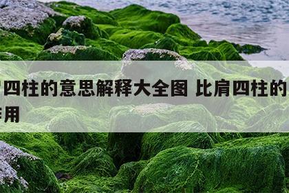 比肩四柱的意思解释大全图 比肩四柱的意义和作用
